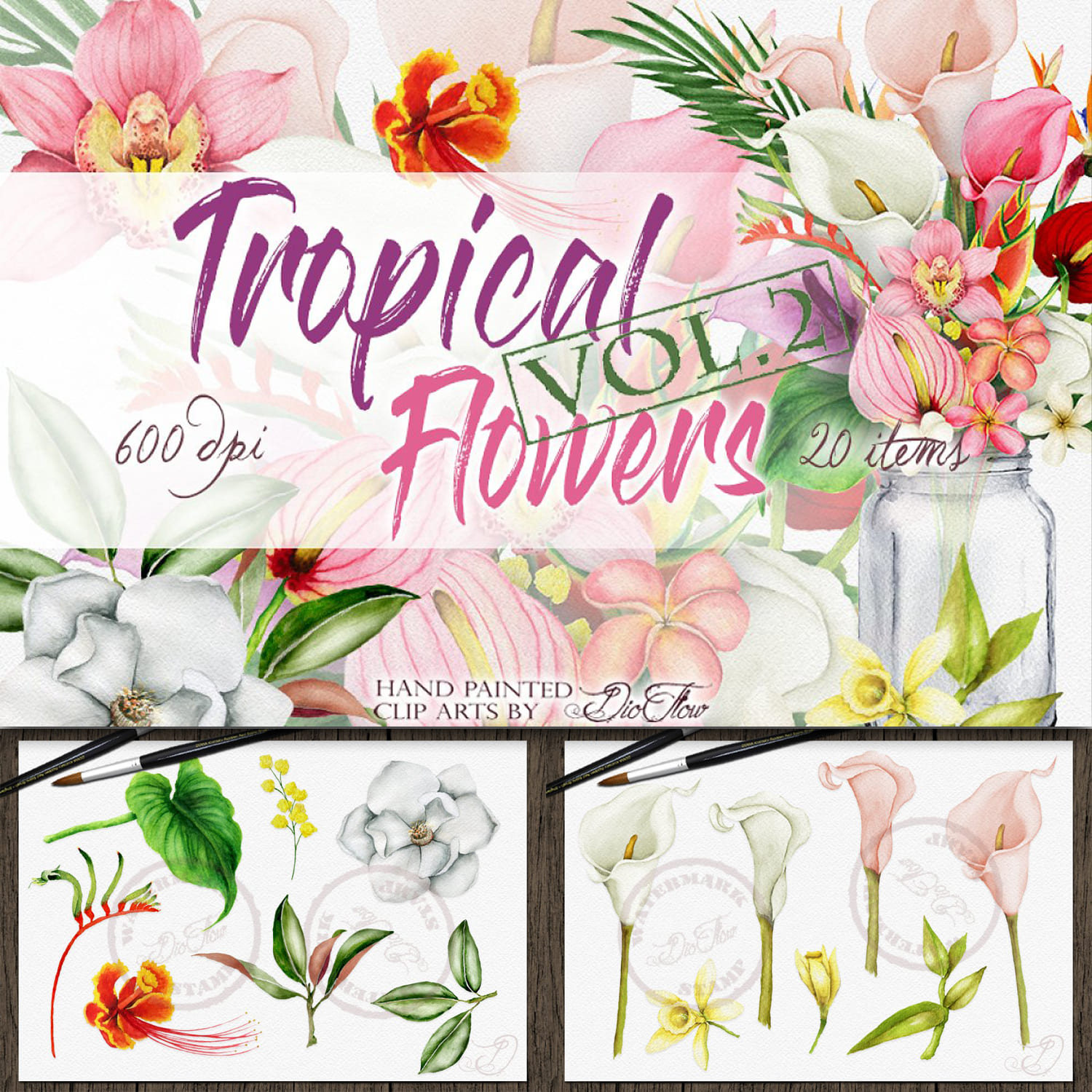 Tropical Flowers Vol. 2 Illustration.