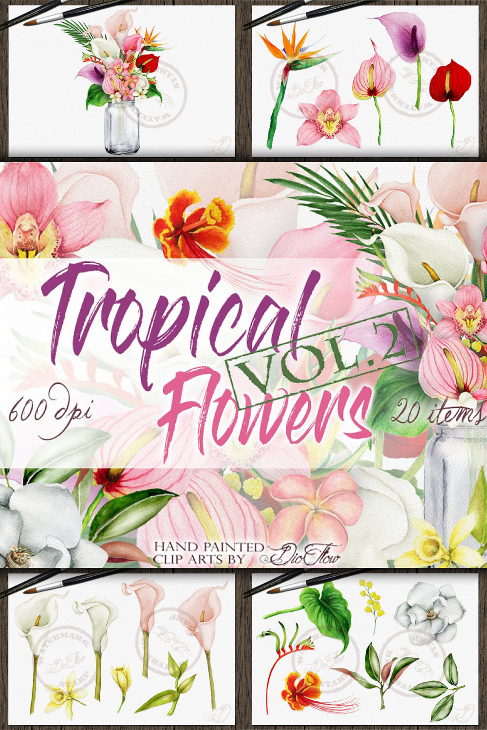 3595108 tropical flowers vol 2 illustration pinterest 1000 1500