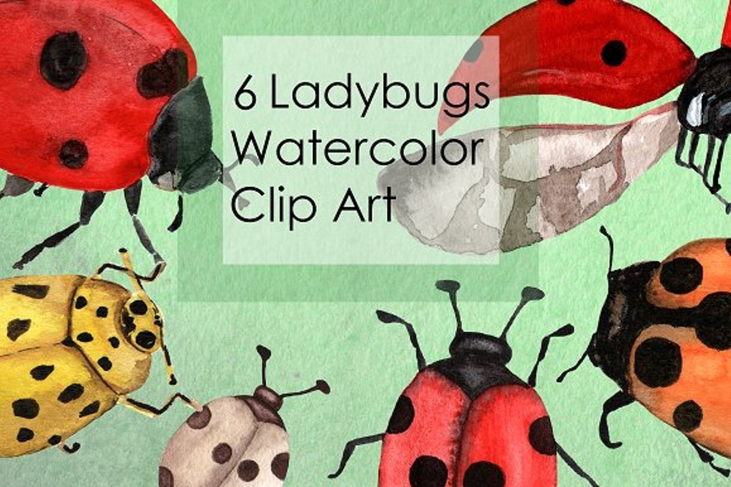 Cover image of Watercolor Ladybugs Clip Art.