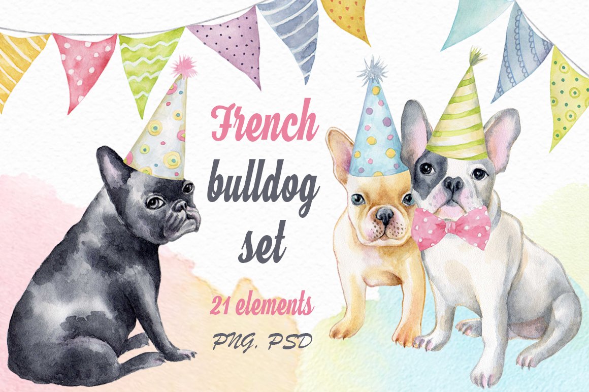 French bulldog birthday set.