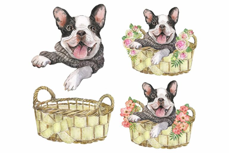 French Bulldog Watercolor Dog Clipart. Watercolor Pet – MasterBundles