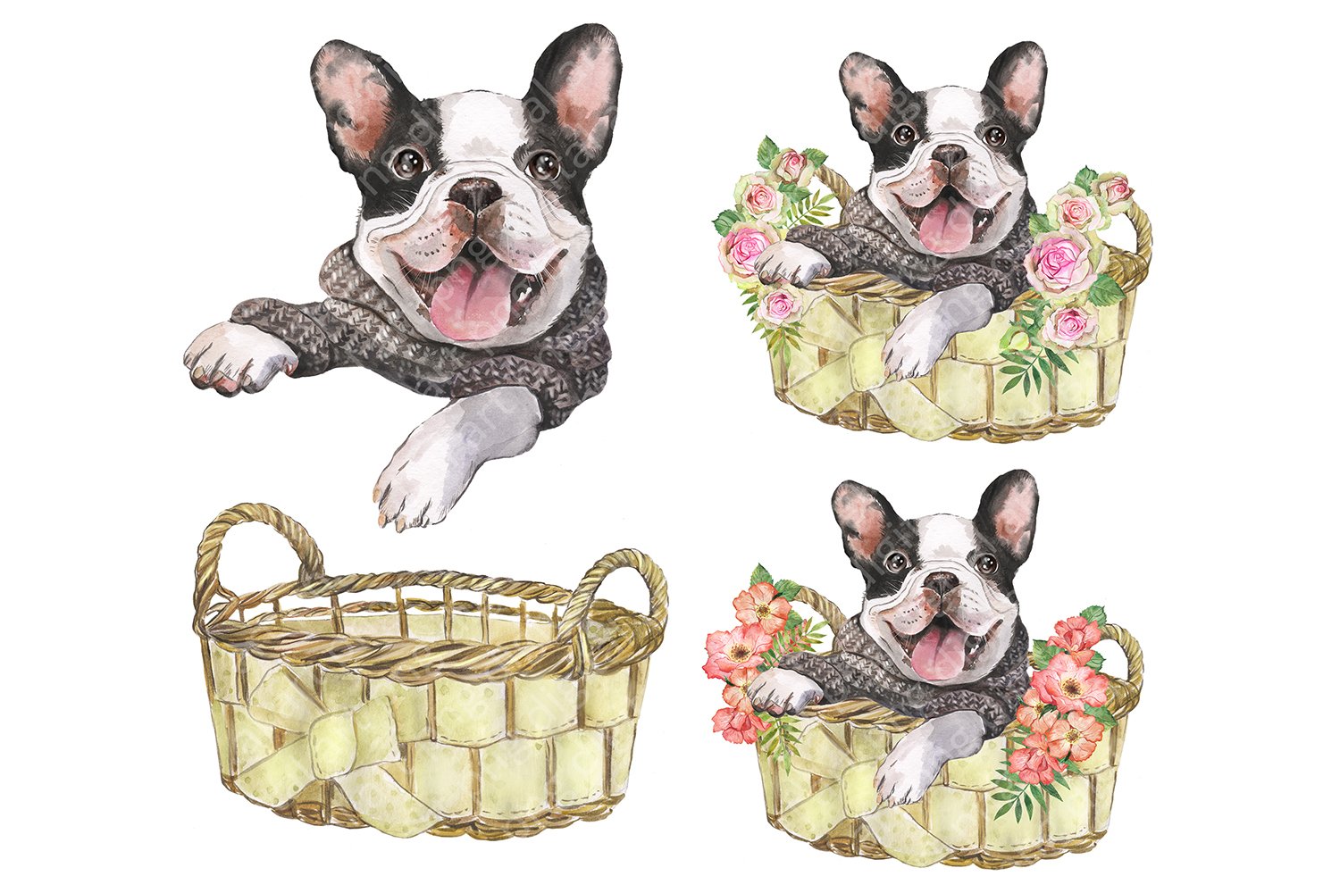 Watercolor drawing of a dog in a basket.