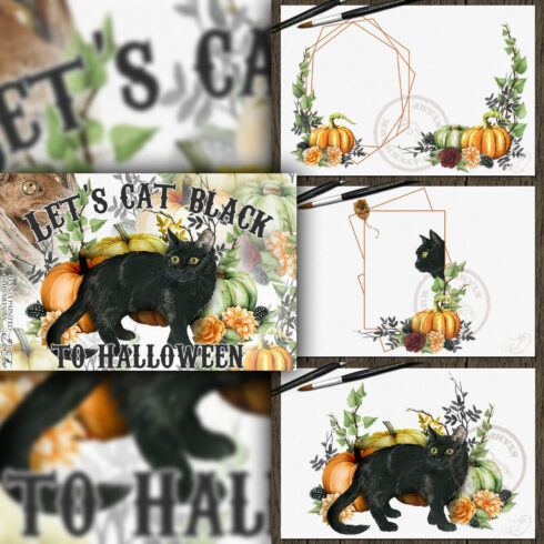 Black Cat Halloween Illustration.