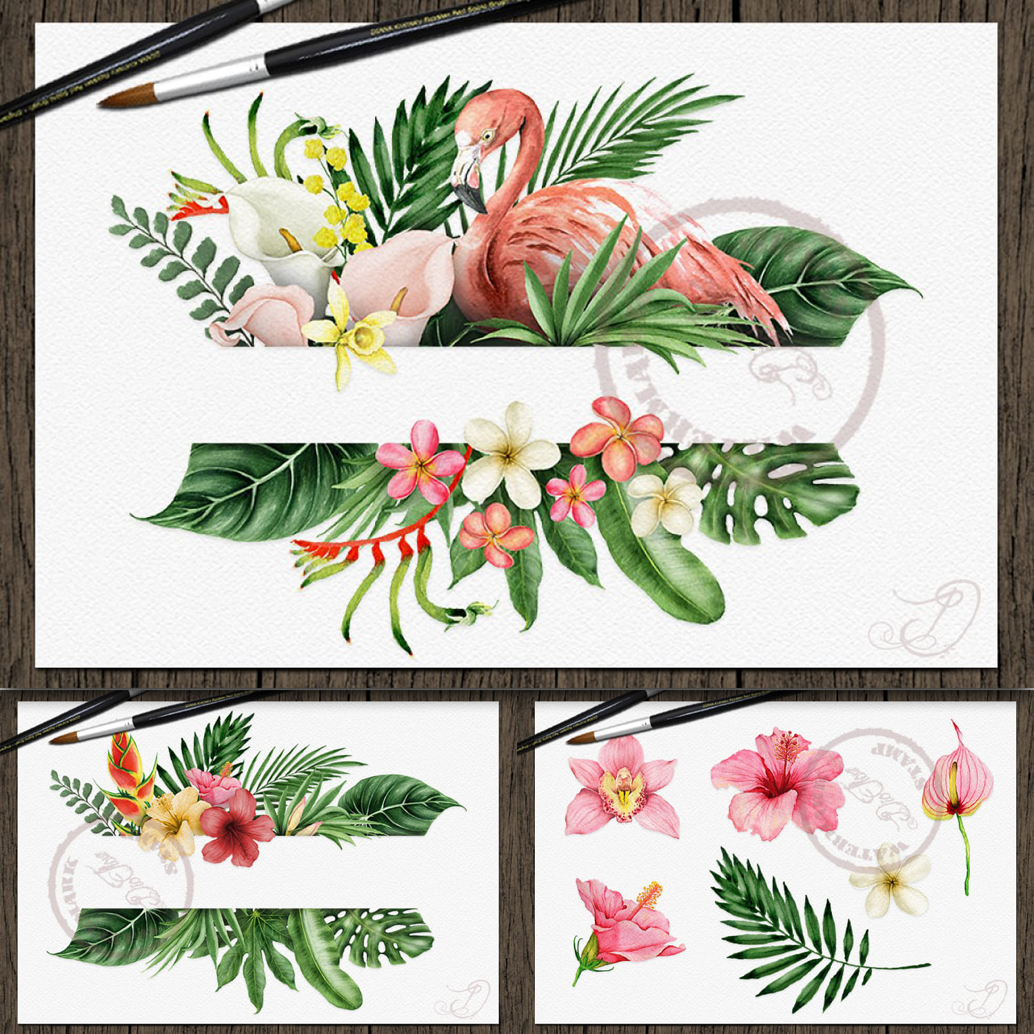 Tropical Selection Watercolor cover.