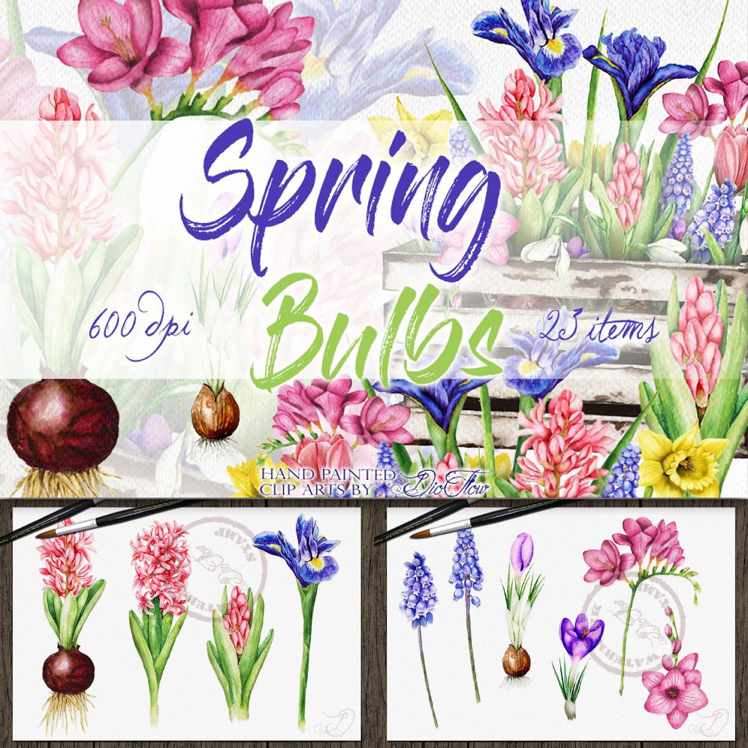 Spring Bulbs Illustration cover.