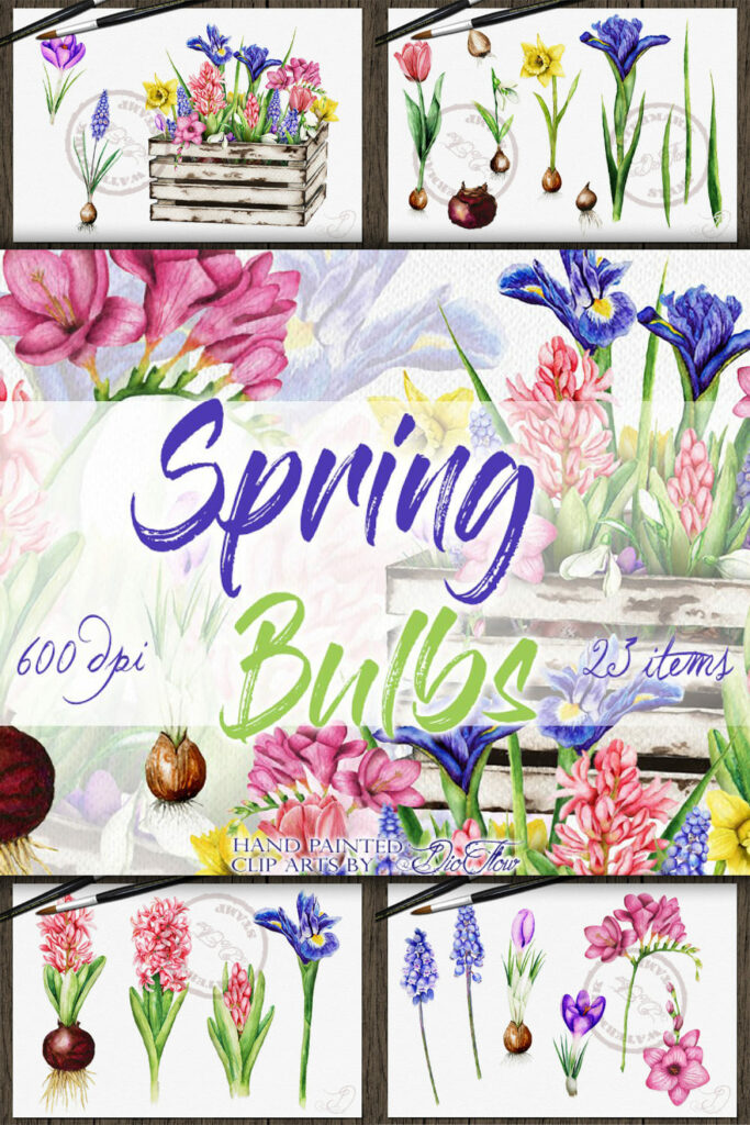 Spring Bulb Artist Spring Bulbs Illustration – MasterBundles