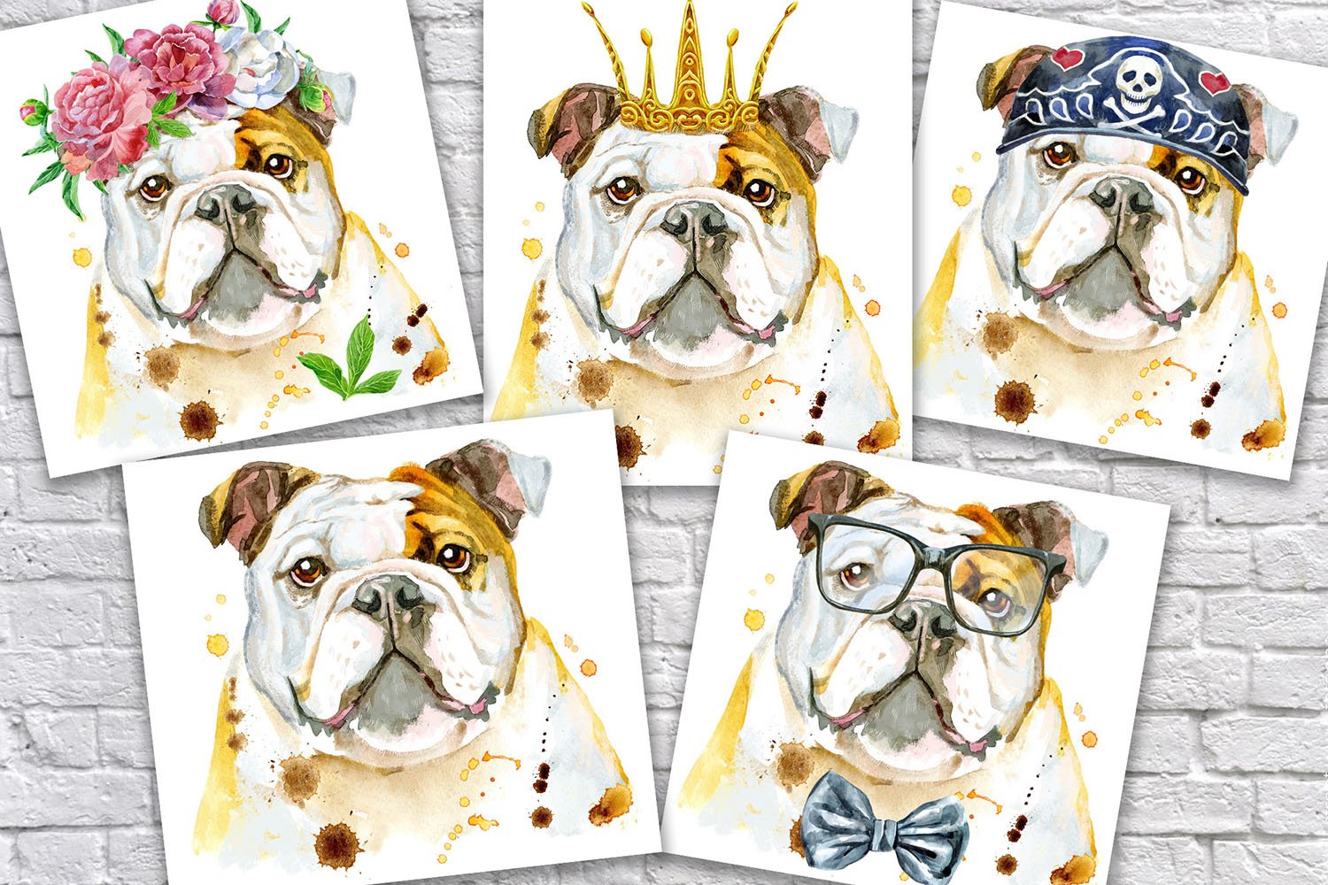Four pictures of a bulldog wearing a crown.