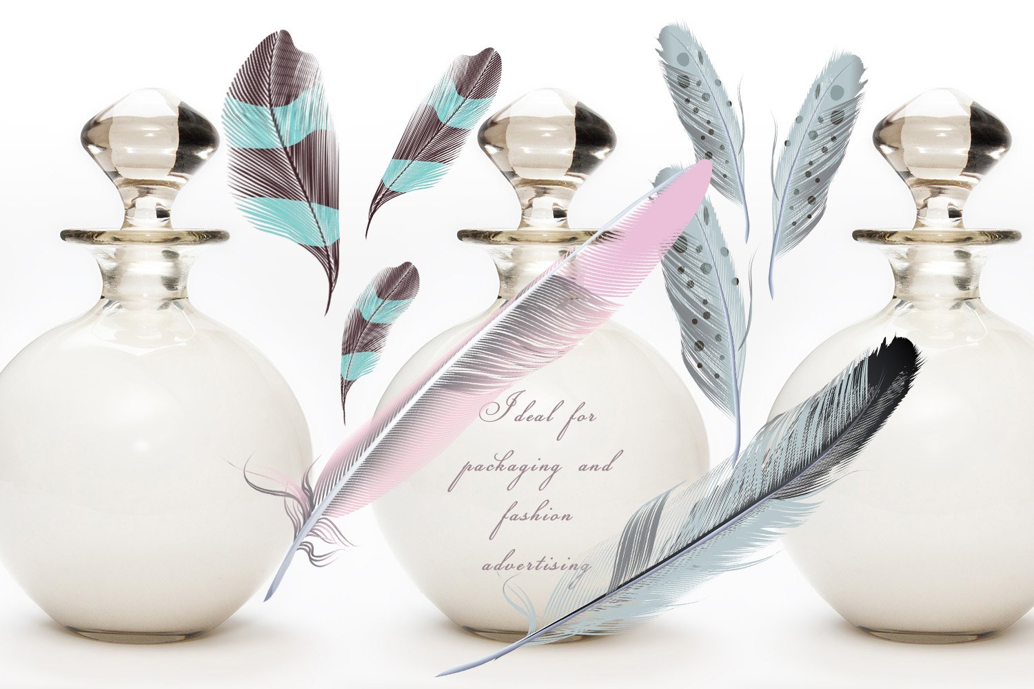 Delicate feathers for your composition.