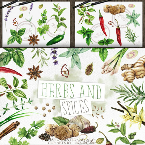 Herbs Spices Watercolor Illustration.