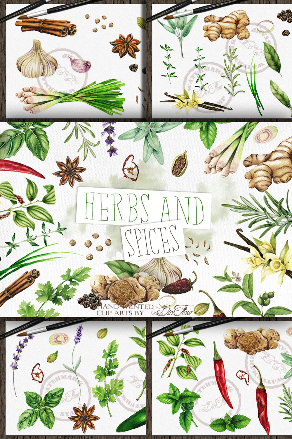 5276187 herbs spices watercolor illustration pinterest 1000 1500