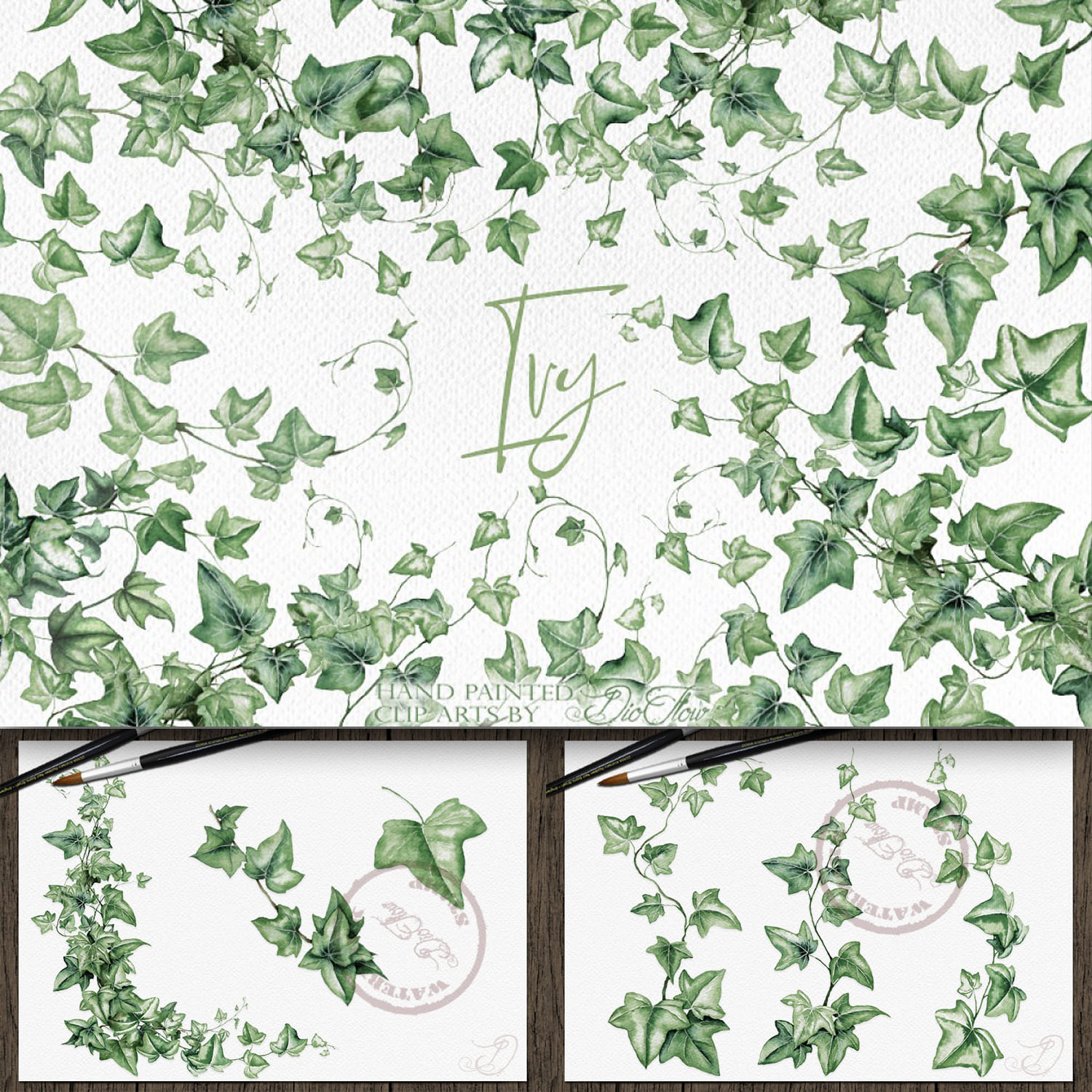 Ivy Watercolor Illustration cover.