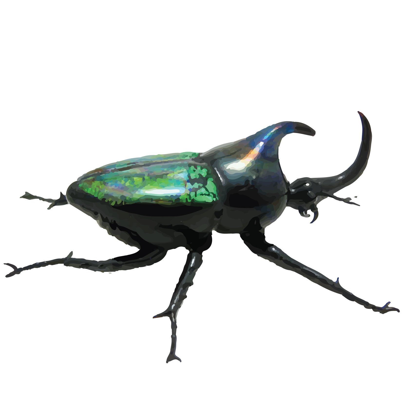 Green beetle with horn.