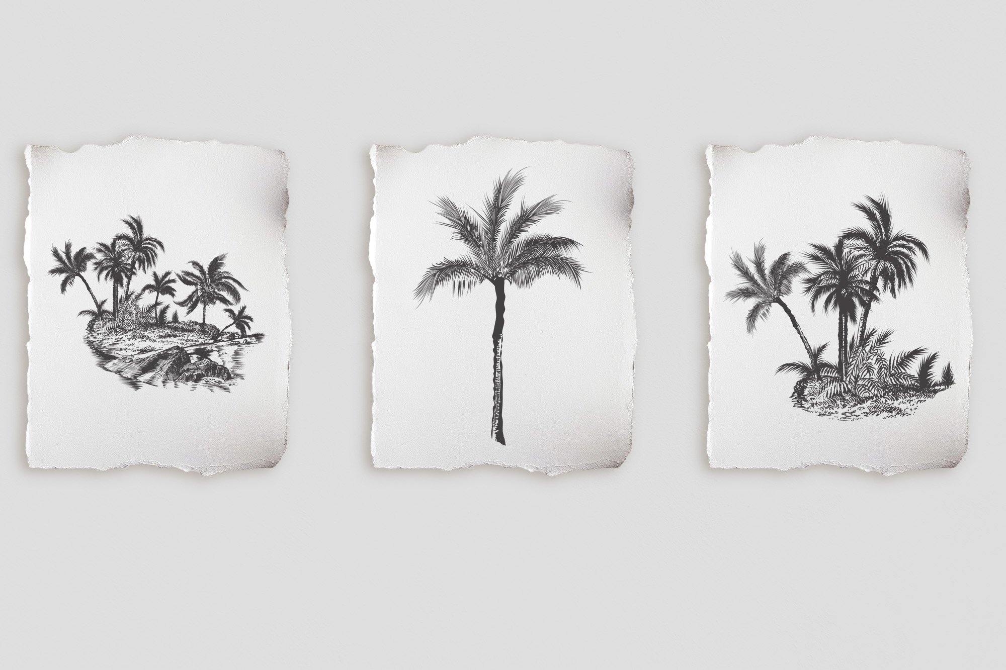 Three pieces of paper with palms.