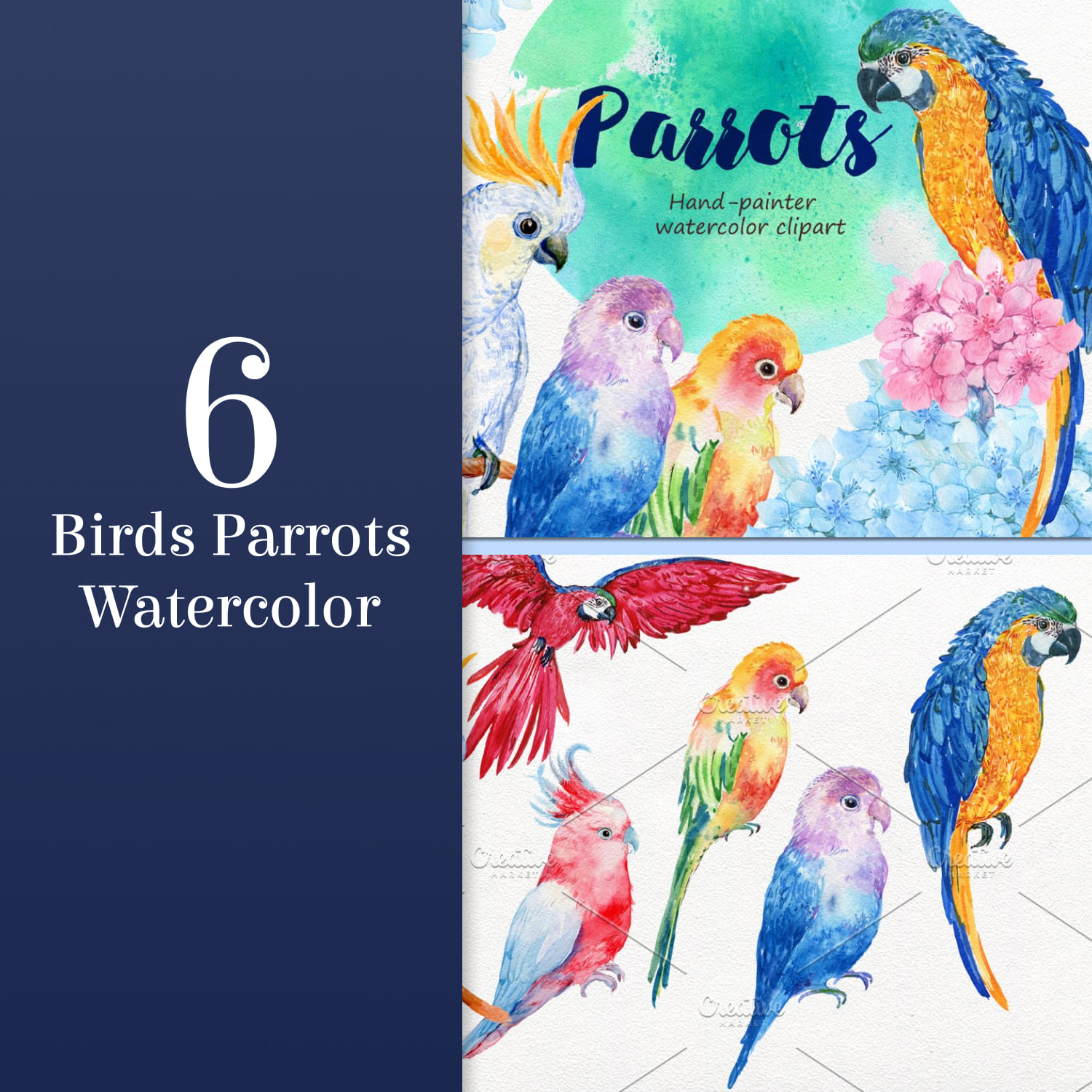 6 birds parrots watercolor - main image preview.
