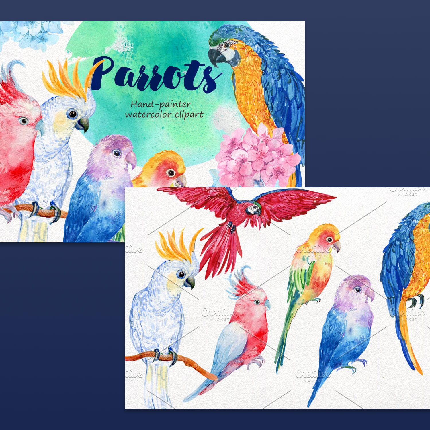 6 birds parrots watercolor created by MitrushovaArt.