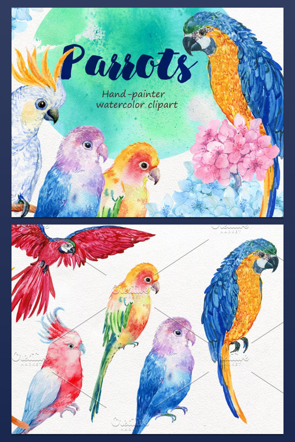 6 birds parrots watercolor - pinterest image preview.
