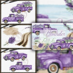 Lavender Truck Illustration.