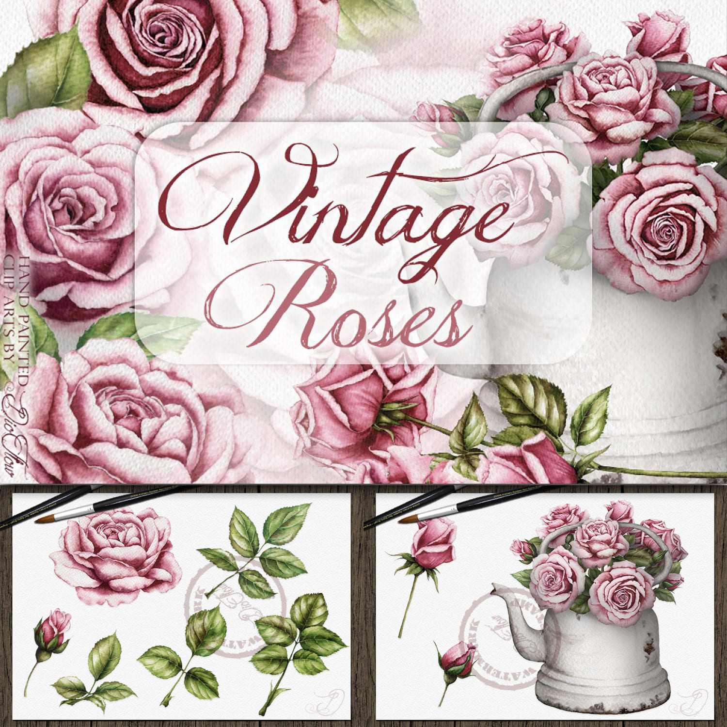 Vintage Roses Illustration.