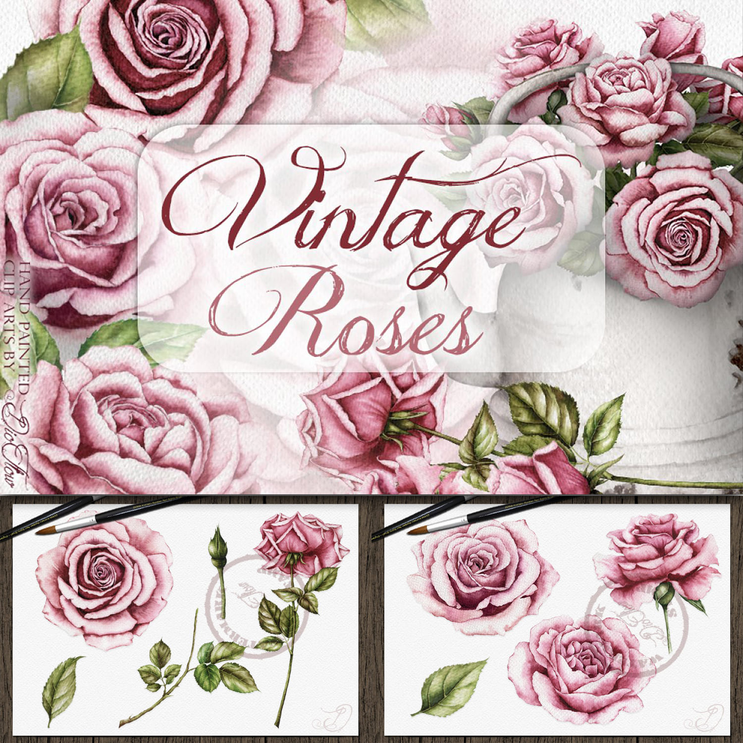 Vintage Roses Illustration cover.