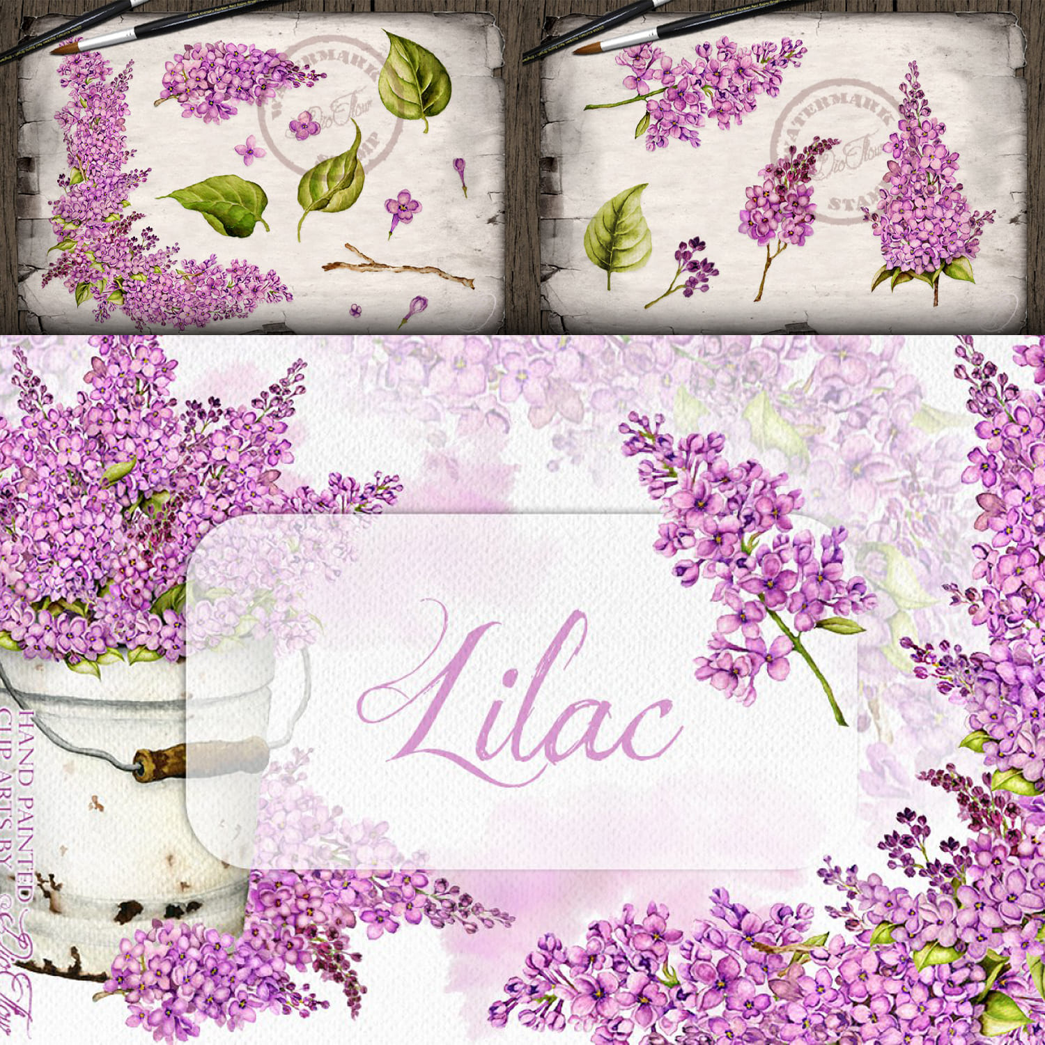 Lilac Watercolor Illustration cover.
