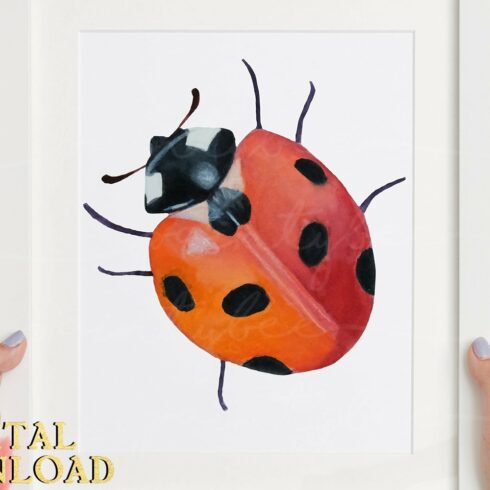 Ladybug Watercolor Clipart SVG | Master Bundles