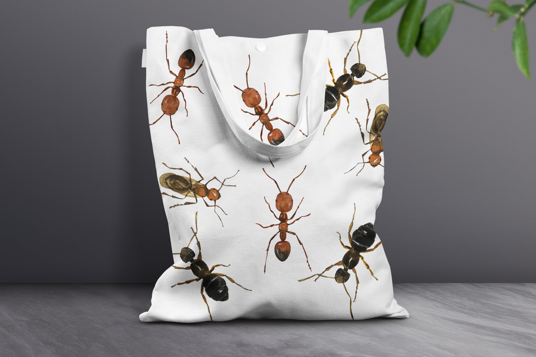 Ant life cycle on the eco bag.