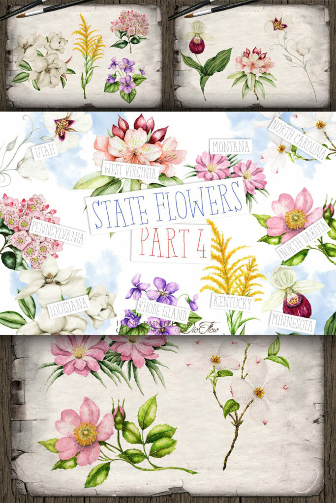 US State Flowers Part 4 Illustration – MasterBundles