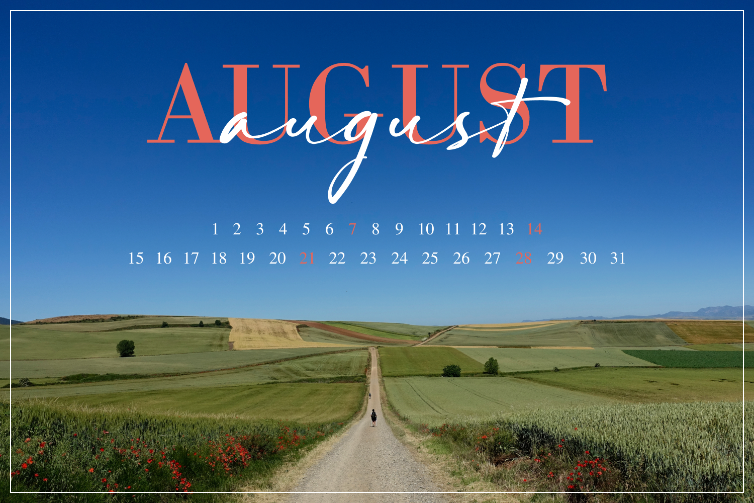 August calendar against the background of a photo of a road in the middle of sown fields.
