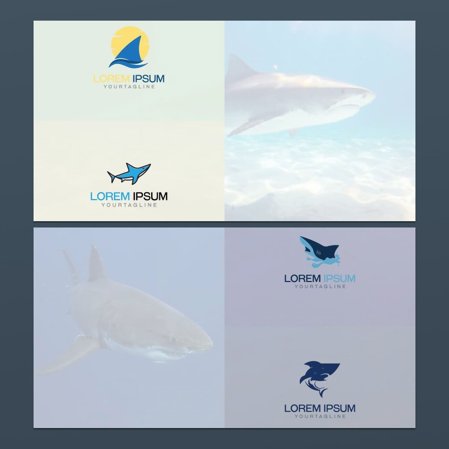 8 shark logo template set created by plus.