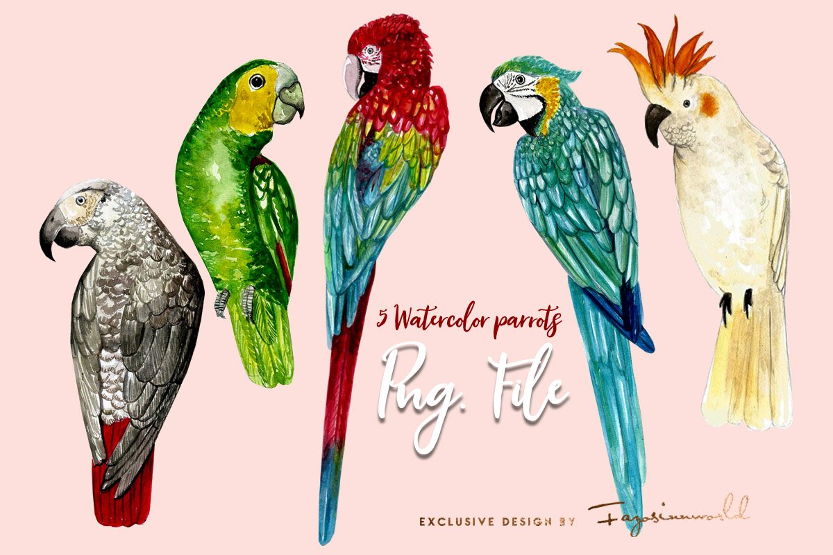 A set of cute tropical bird clipart illustrations in a watercolor style.