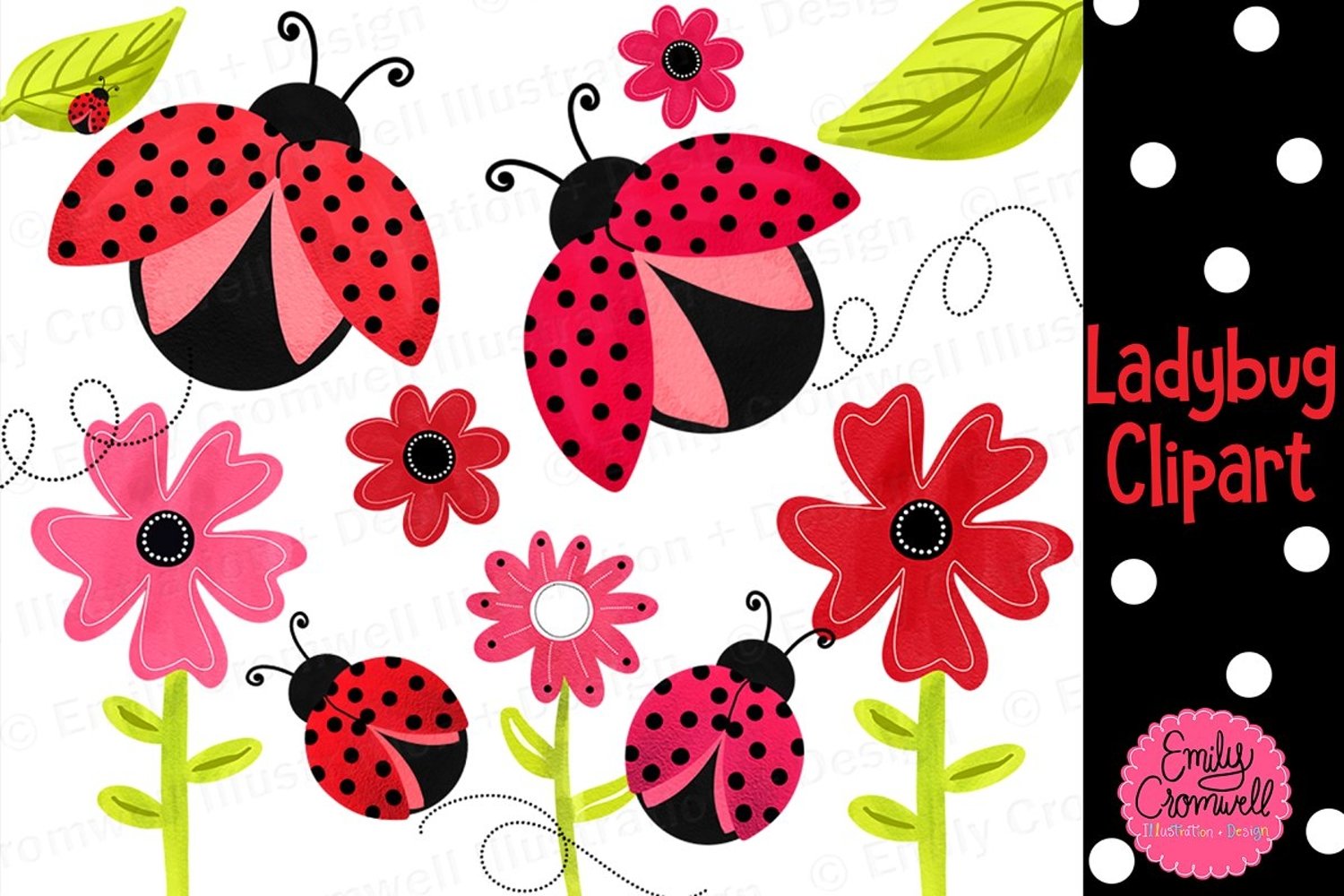 Cover image of Ladybug Clipart.