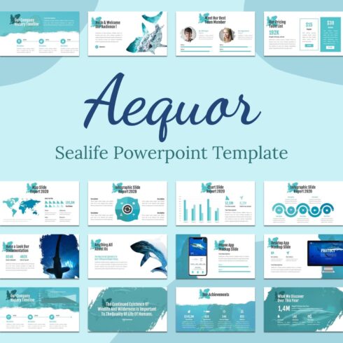 Aequor - Sealife Powerpoint Template.