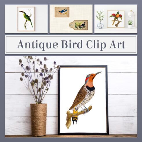 Antique bird clip art - main image preview.