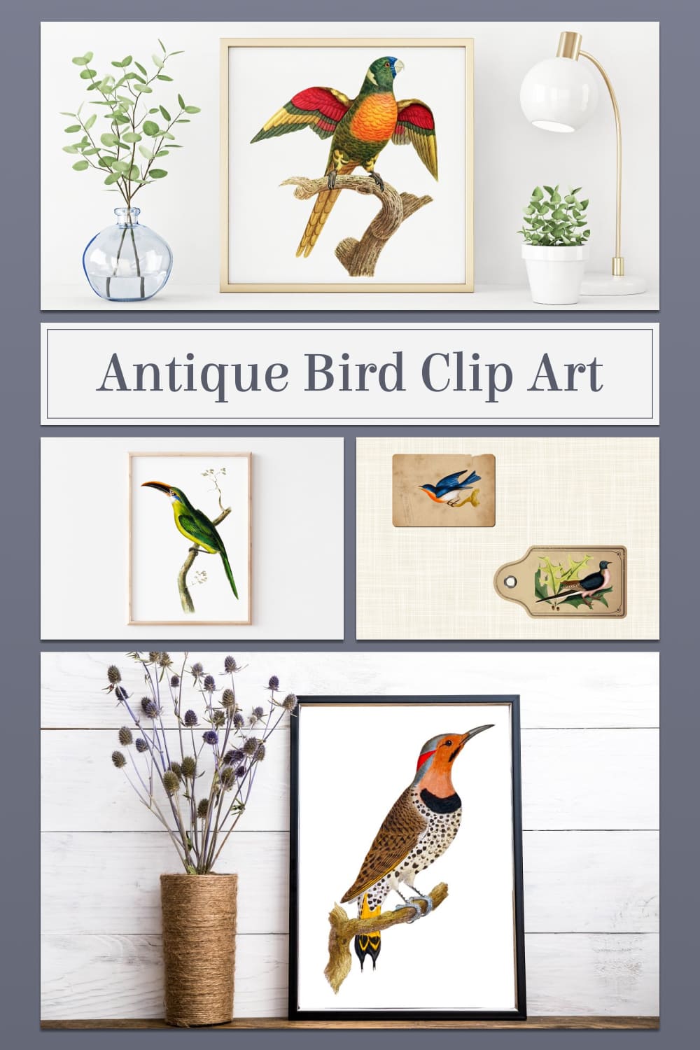Antique bird clip art - pinterest image preview.