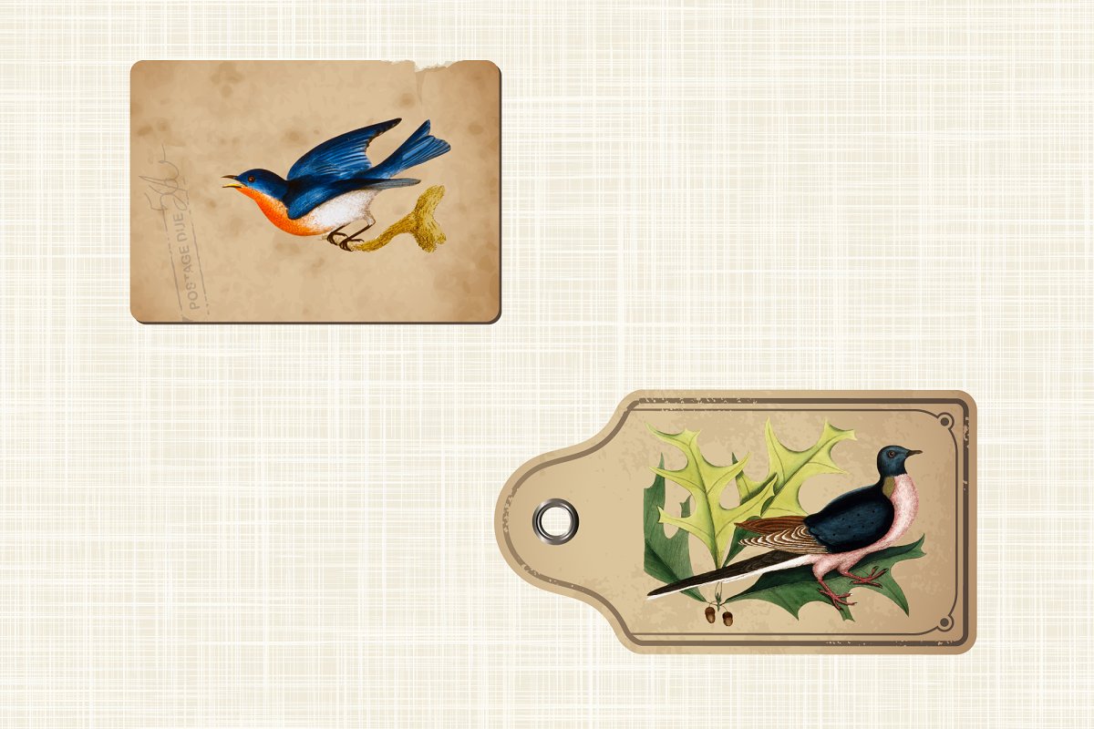Hand-painted birds elements for instant download.