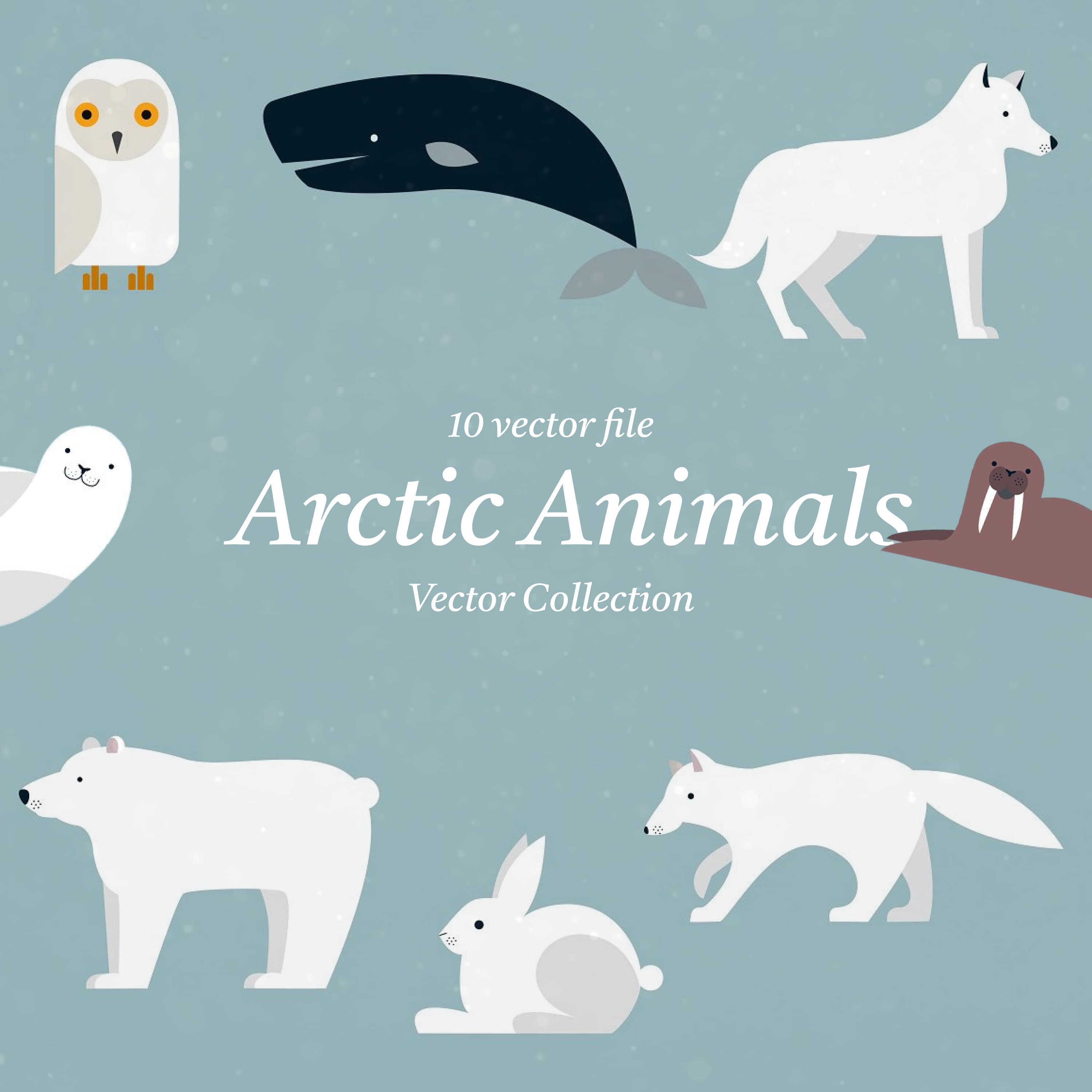 Arctic Animals Vector Collection cover.