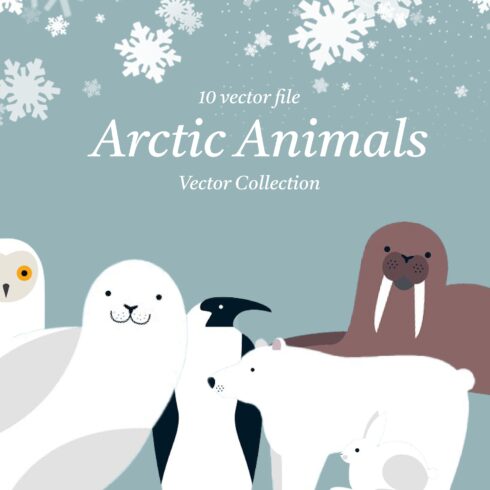 Arctic Animals Vector Collection.