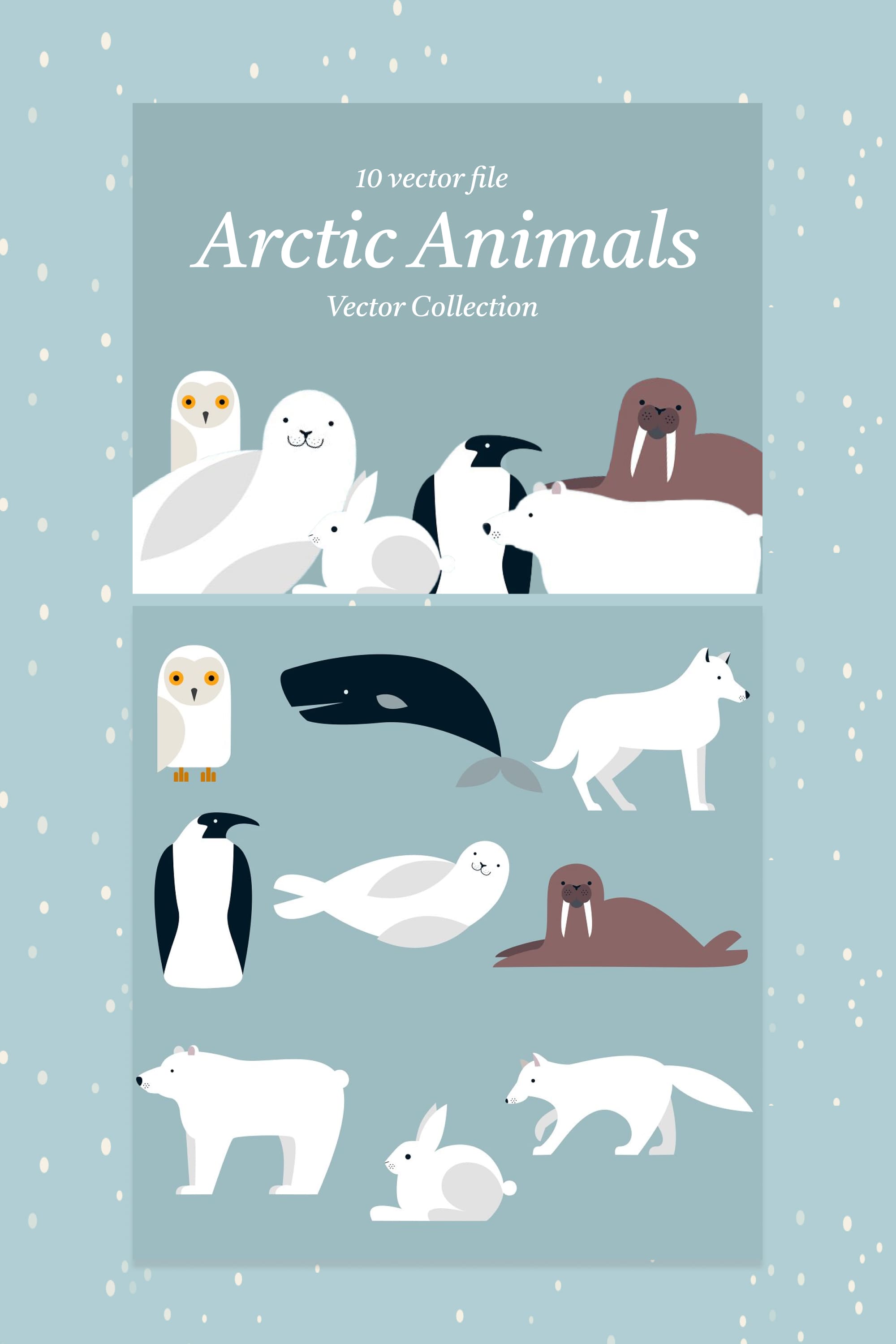 arctic animals vector collection pinterest