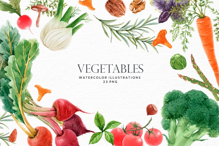 Cover image of "Vegetables" PNG set.