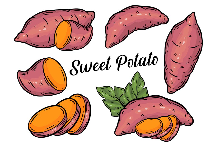 Cover image of Sweet potato vector set.