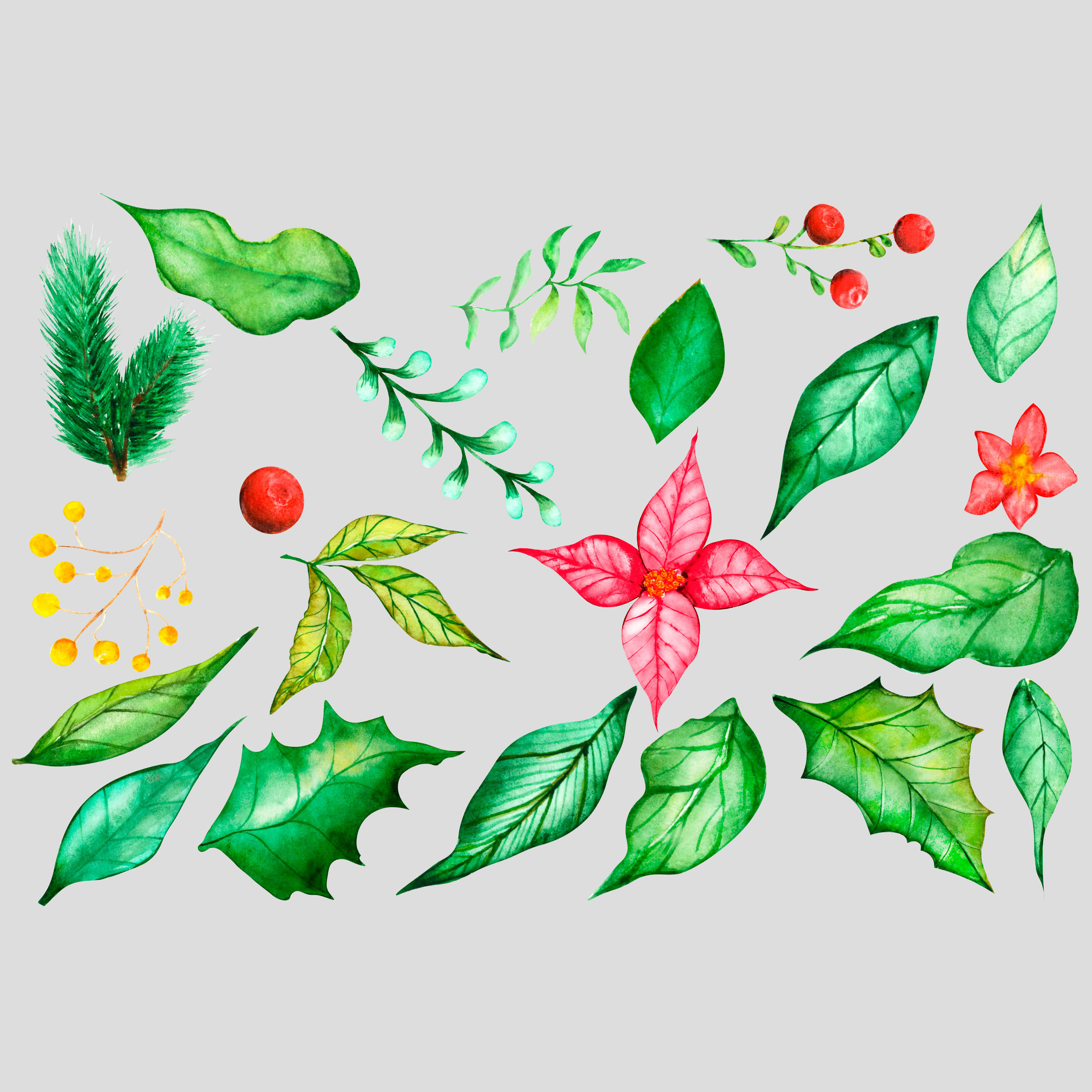 Christmas Floral Watercolor Clipart