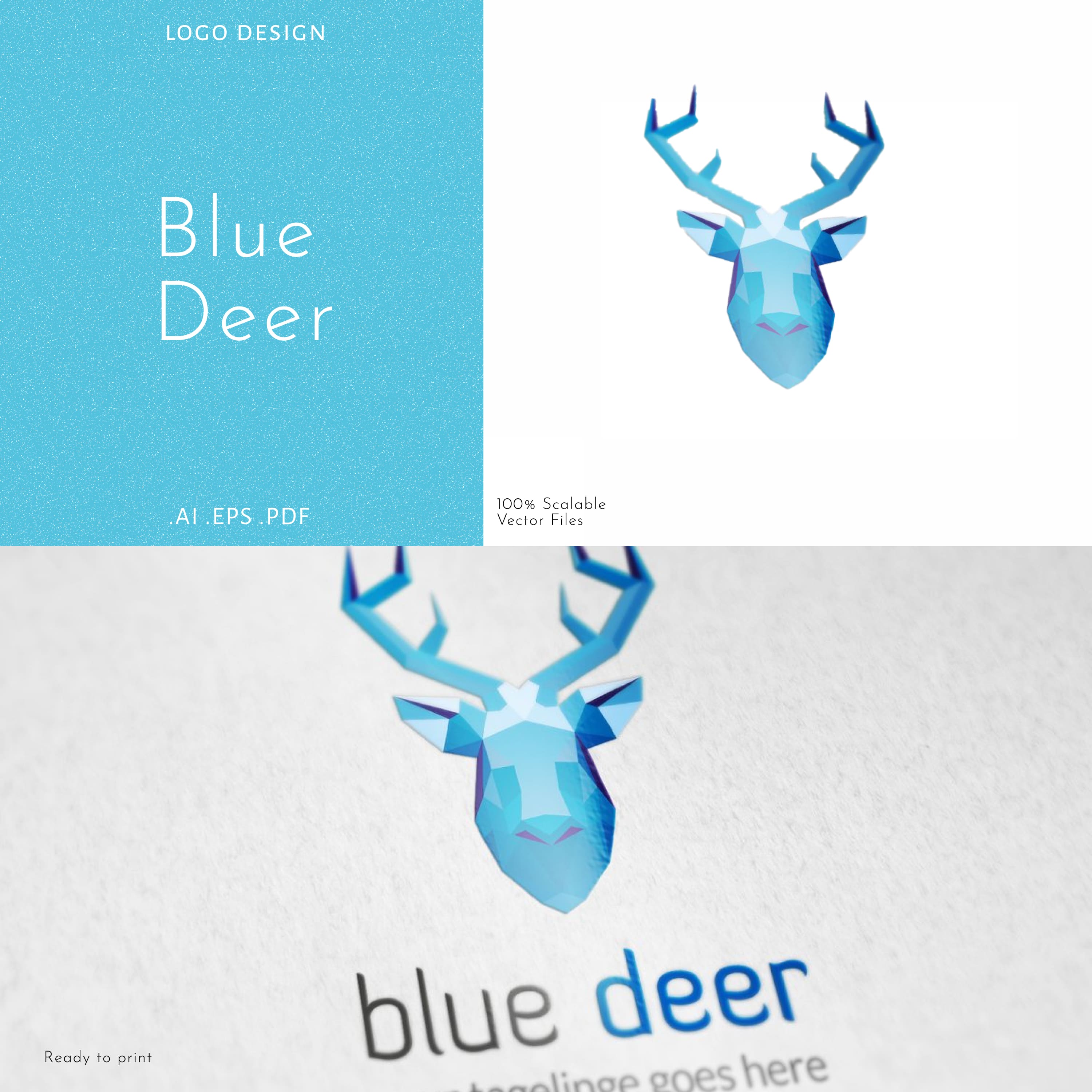 Blue Deer logo cover.