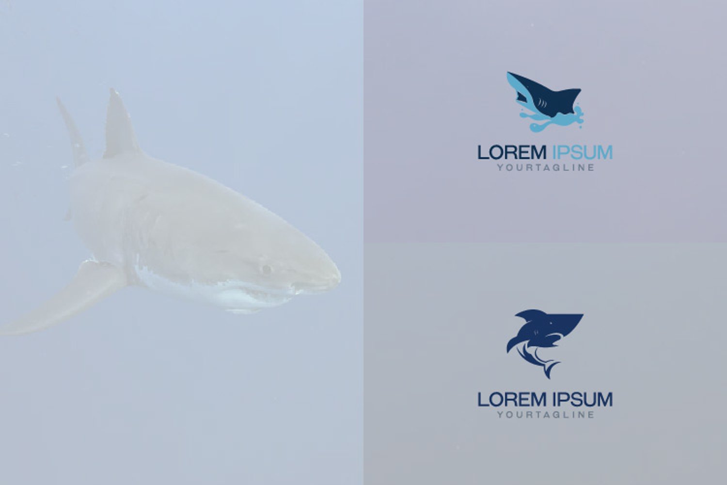 Diverse of shark logo.