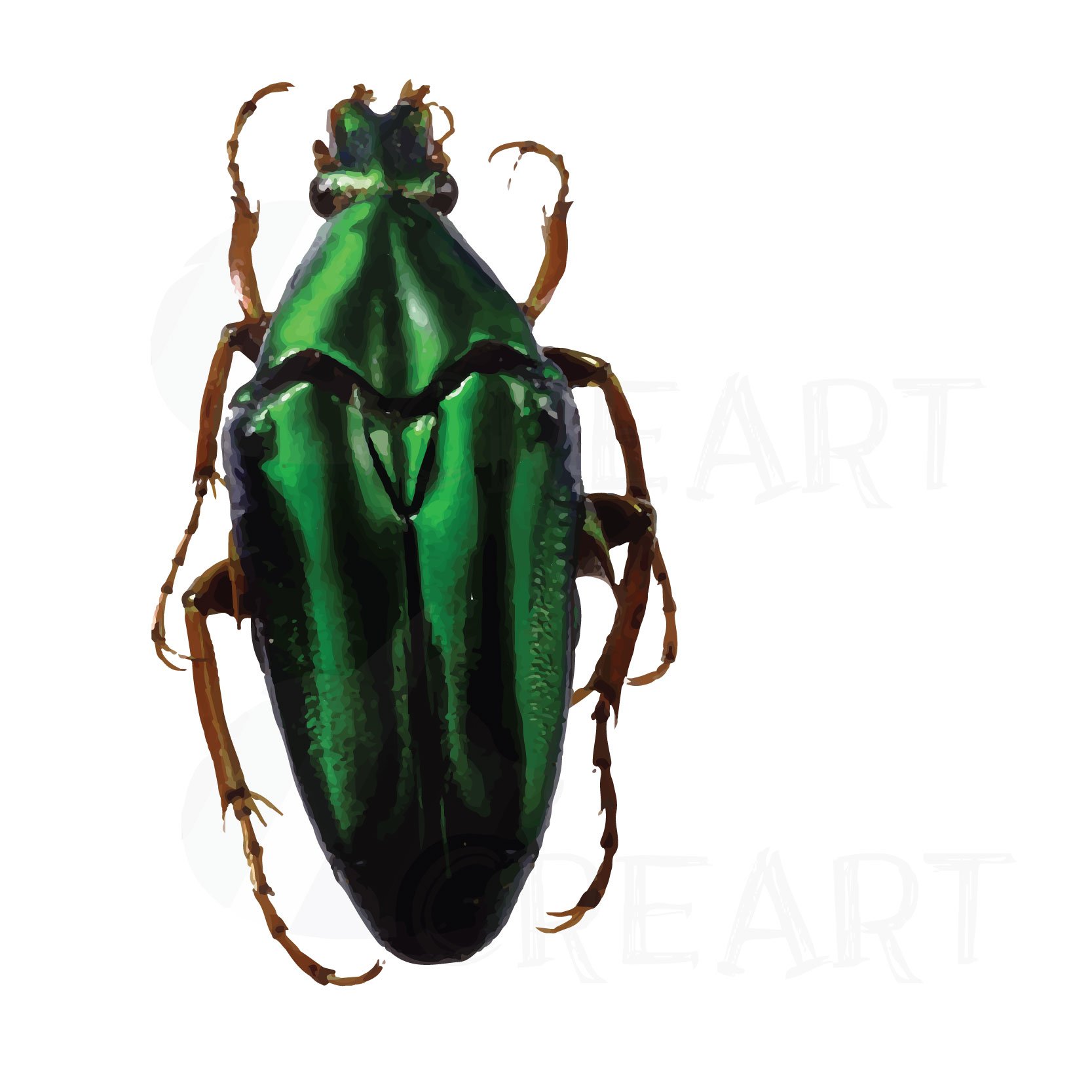 Emerald beetle.