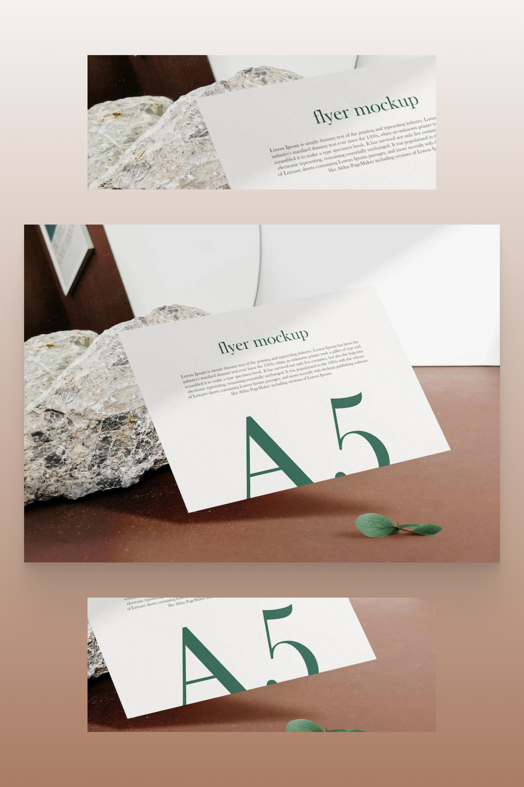 White flyer with green text on it against a background of stone and leaf.