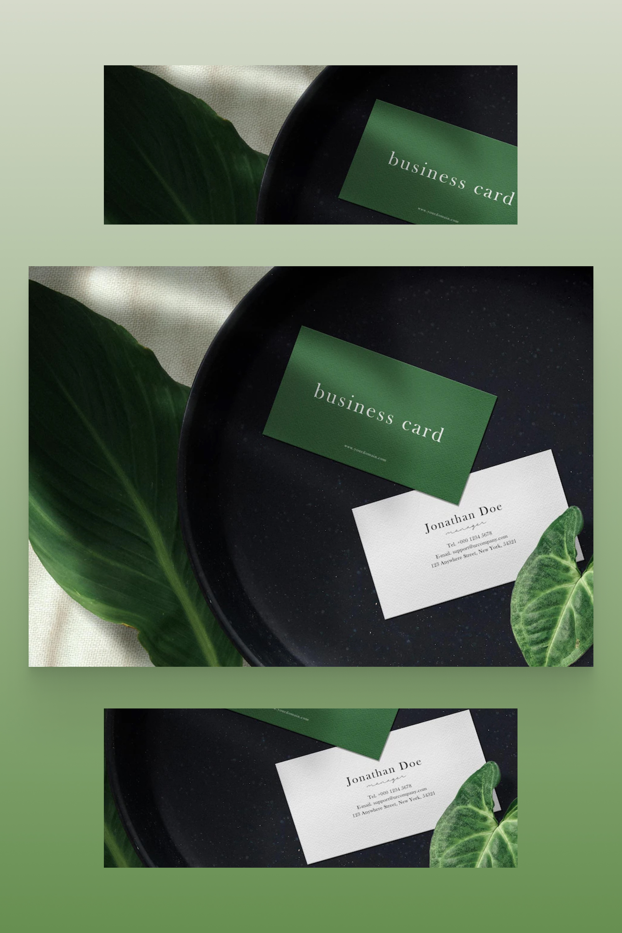 Green and white business cards on a black plate with green leaves.
