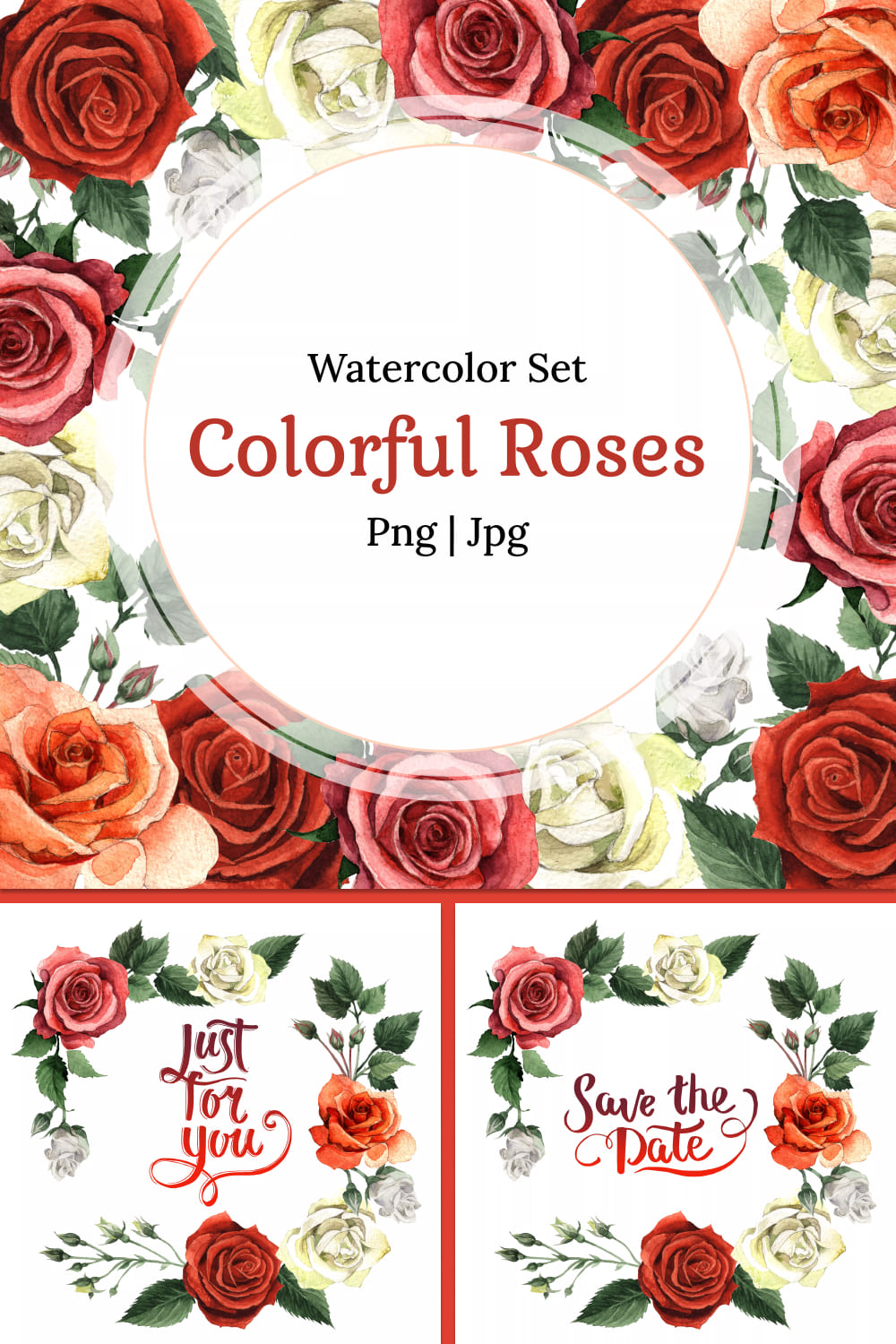 colorful roses png watercolor set 03