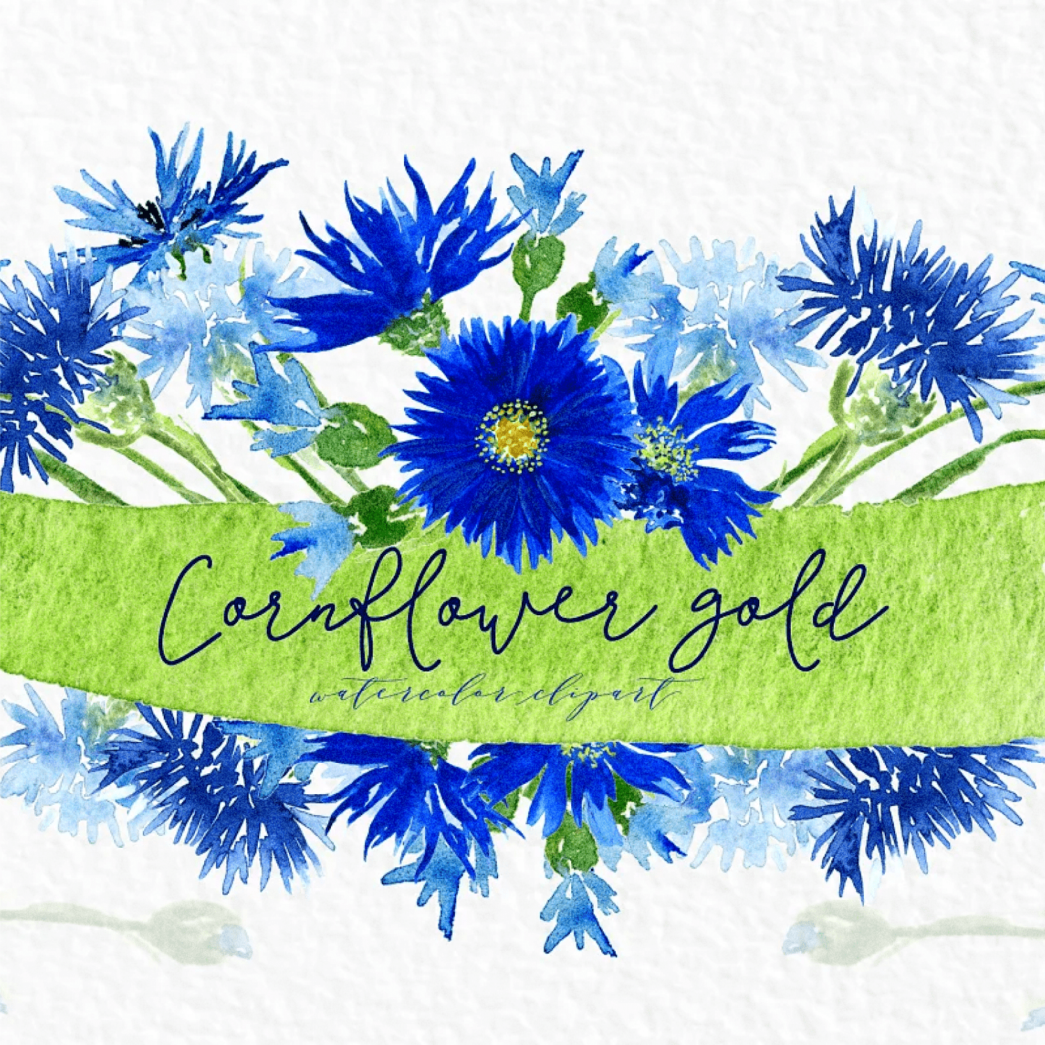 Cornflower gold. Watercolor clipart - main image preview.