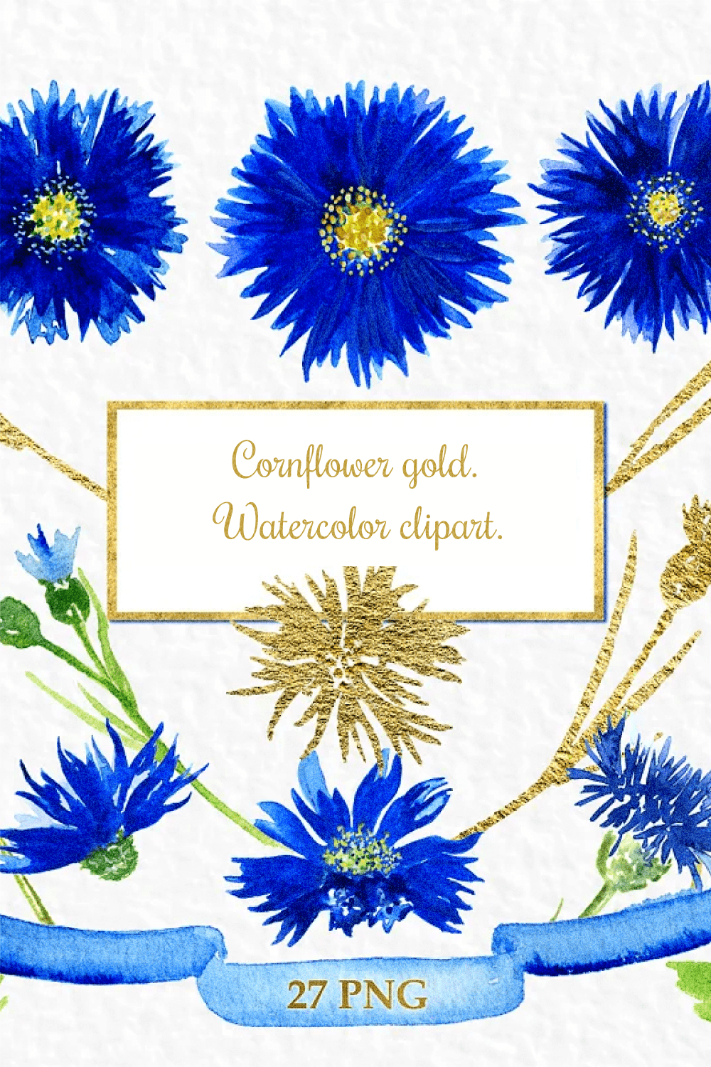 Cornflower gold. Watercolor clipart - pinterest image preview.