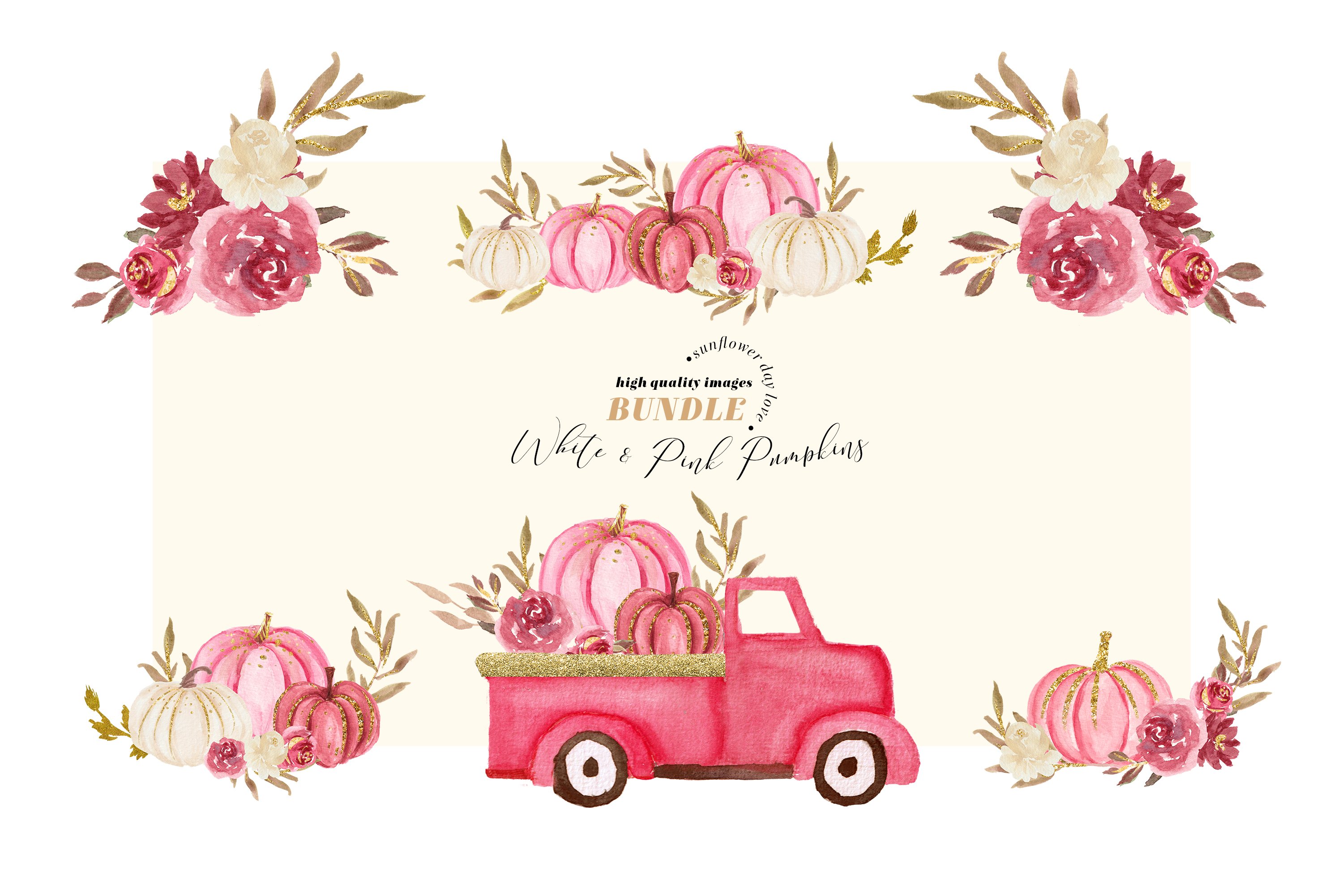 Pink pumpkins illustration with a car.